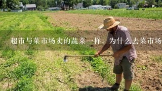 超市与菜市场卖的蔬菜1样，为什么去菜市场的人更多？