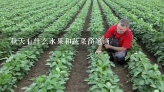 秋天有什么水果和蔬菜简笔画