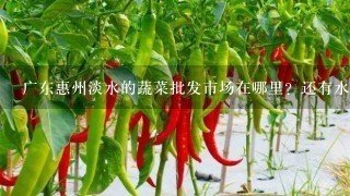 广东惠州淡水的蔬菜批发市场在哪里？还有水果批发，最好大型点的，谢谢