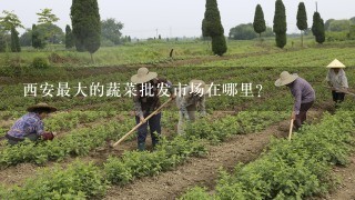 西安最大的蔬菜批发市场在哪里？