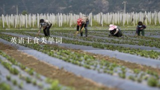 英语主食类单词