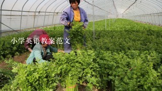 小学英语教案范文