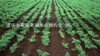 重庆有做蔬菜钢架大棚的公司吗?