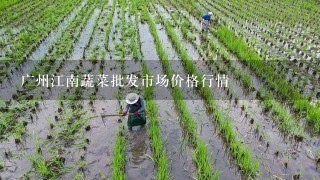 广州江南蔬菜批发市场价格行情