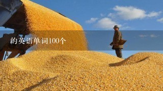 的英语单词100个