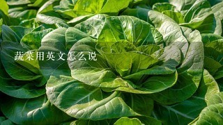 蔬菜用英文怎么说