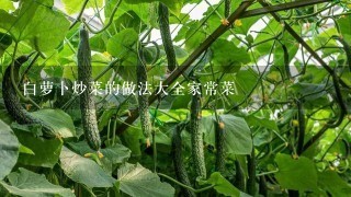 白萝卜炒菜的做法大全家常菜