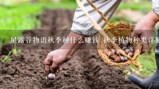 星露谷物语秋季种什么赚钱 秋季植物种类详解