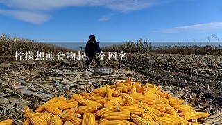 柠檬想煎食物起1个网名