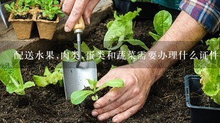 配送水果,肉类,蛋类和蔬菜需要办理什么证件才不违法？