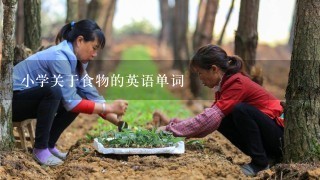 小学关于食物的英语单词