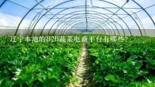 辽宁本地的B2B蔬菜电商平台有哪些？