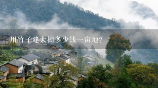 用竹子建大棚多少钱1亩地？