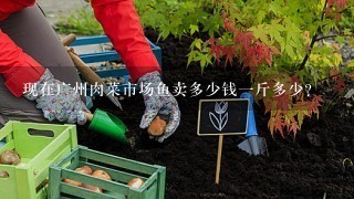 现在广州肉菜市场鱼卖多少钱1斤多少？