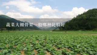 蔬菜大棚骨架1般哪种比较好