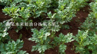 蔬菜水果粮油分拣累不累？