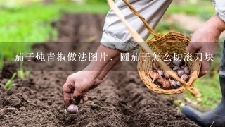 茄子炖青椒做法图片，圆茄子怎么切滚刀块