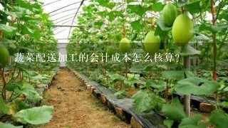 蔬菜配送加工的会计成本怎么核算？