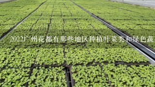 2022广州花都有那些地区种植叶菜类和绿色蔬菜类