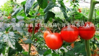 北京哪里有蔬菜批发市场？洋葱在那边大概可以买到多少钱？销量大吗？