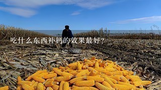 吃什么东西补钙的效果最好？