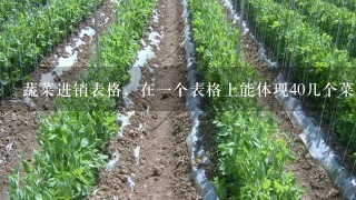 蔬菜进销表格，在1个表格上能体现40几个菜品，进，