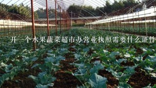 开1个水果蔬菜超市办营业执照需要什么证件？