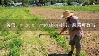 英语，a lot of vegetables对吗？蔬菜可数吗