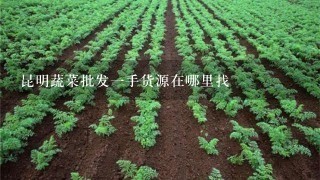 昆明蔬菜批发1手货源在哪里找