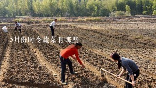 5月份时令蔬菜有哪些