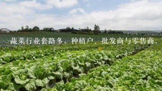 蔬菜行业套路多，种植户、批发商与0售商，哪个环节最容易赚钱？