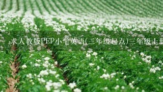 求人教版PEP小学英语(3年级起点)3年级上册(课文+听力+单词)MP3 2012年06月第1版