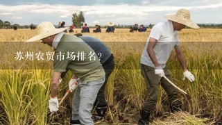 苏州农贸市场排名？