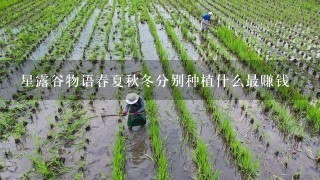 星露谷物语春夏秋冬分别种植什么最赚钱