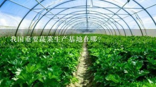 我国重要蔬菜生产基地在哪？