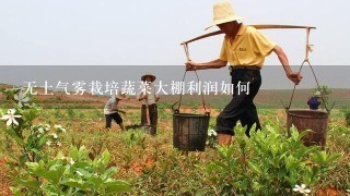 无土气雾栽培蔬菜大棚利润如何