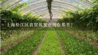上海松江区农贸批发市场在那里？