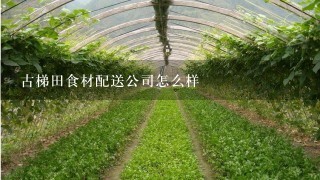 古梯田食材配送公司怎么样