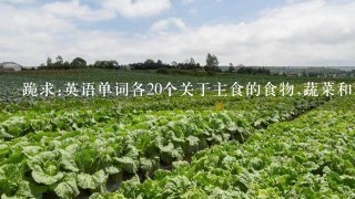 跪求:英语单词各20个关于主食的食物,蔬菜和水果