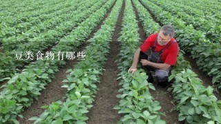 豆类食物有哪些