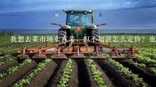 我想去菜市场卖青菜，但不知道怎么定价？也没认识有