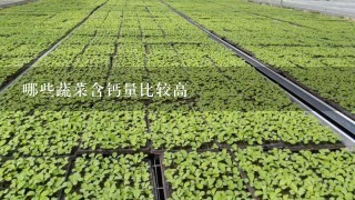 哪些蔬菜含钙量比较高