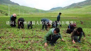 请问，广州市最大的化肥市场在哪里？