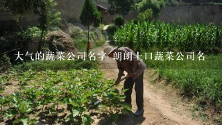 大气的蔬菜公司名字 朗朗上口蔬菜公司名