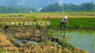 几种无土栽培方式简介