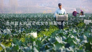 贵州最大的蔬菜批发市场是哪个？