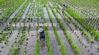 上海蔬菜批发市场哪家好？