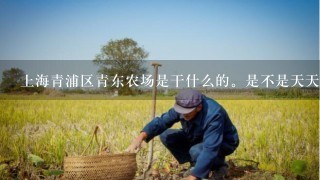 上海青浦区青东农场是干什么的。是不是天天需要干活 家人可以去探望吗？