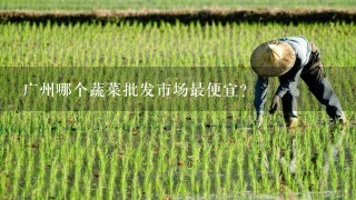广州哪个蔬菜批发市场最便宜？