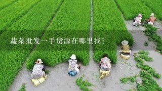 蔬菜批发1手货源在哪里找?